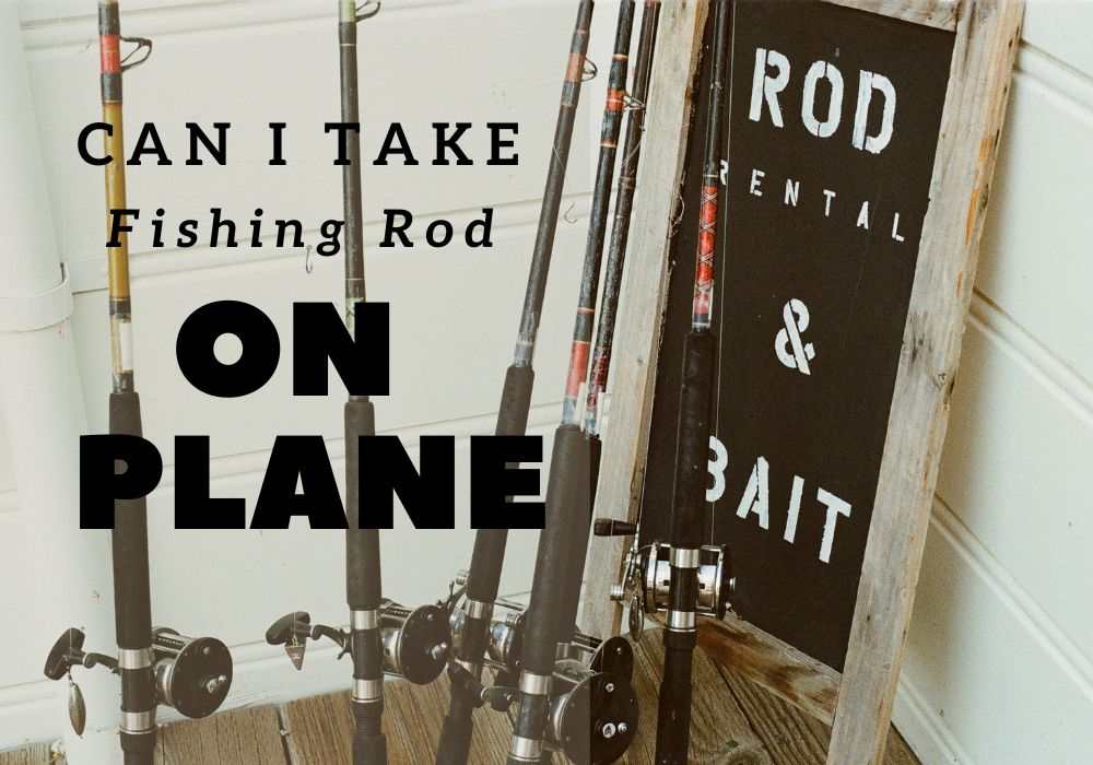 Can I Take A Fishing Rod On A Plane?A Complete Guide